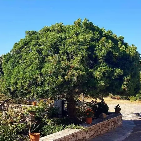 Casa vacanze Lourantianika House Kýthira